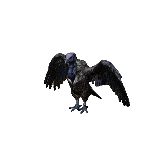 Vulture