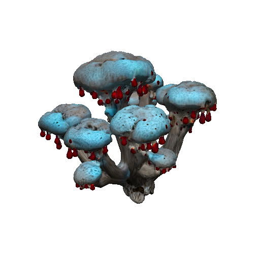 Bleeding Tooth Fungus