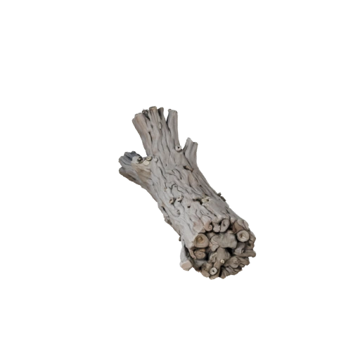 Driftwood Log