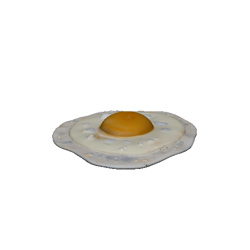 Fried Egg