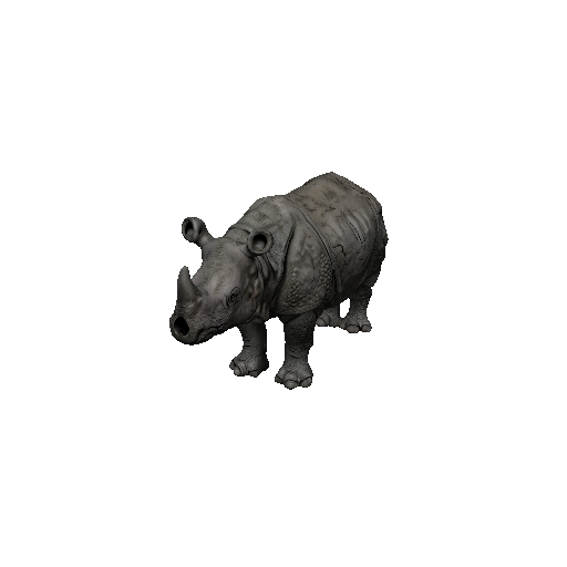 Rhinoceros
