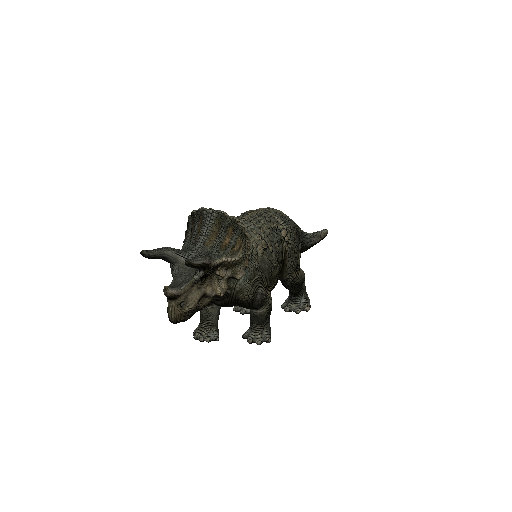 Triceratops