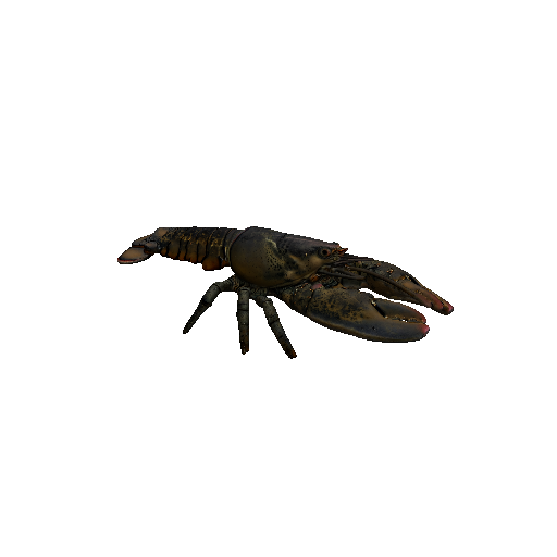 Crab