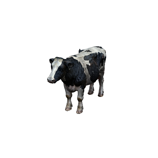 Cow