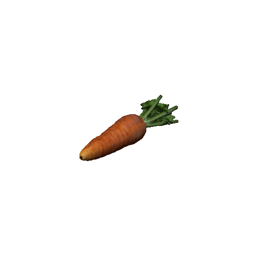 Carrot