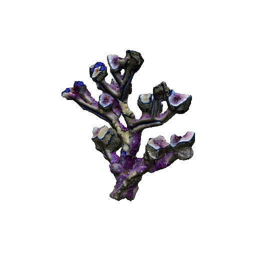 Geode Flower