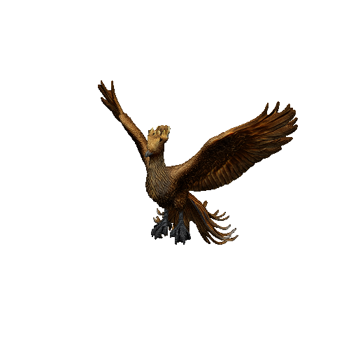 Phoenix