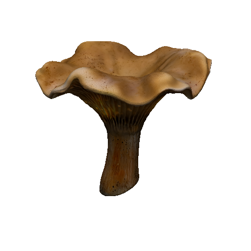 Golden Chanterelle (Glowing)