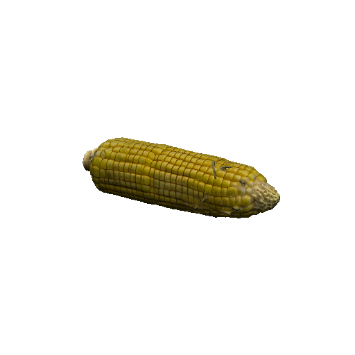 Corn cob