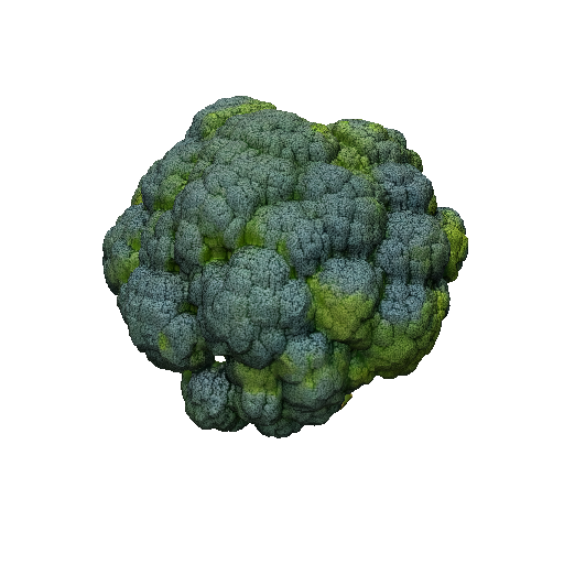 Broccoli