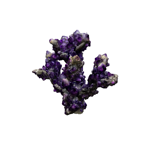 Amethyst Cactus