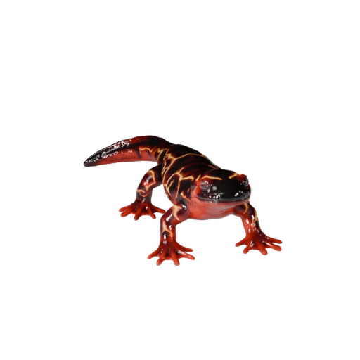 Lava Salamander