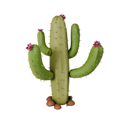 Cactus