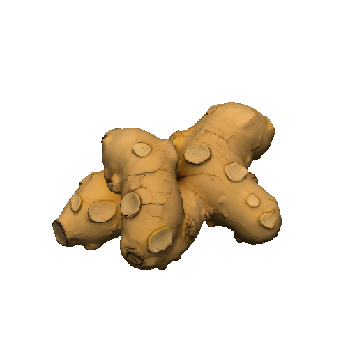 Golden ginger root
