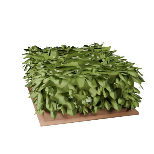 Garden Hedge