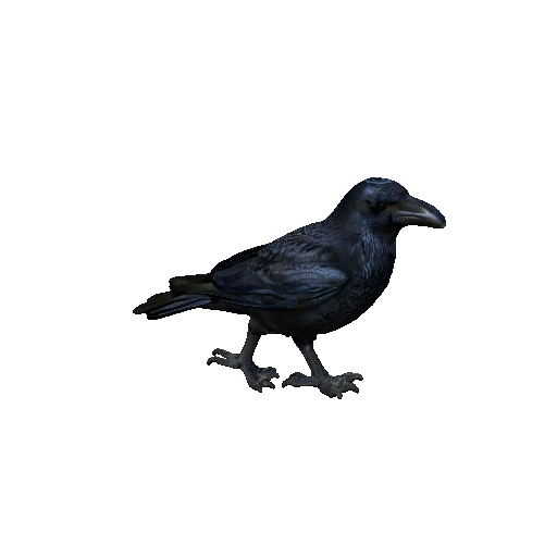 Crow