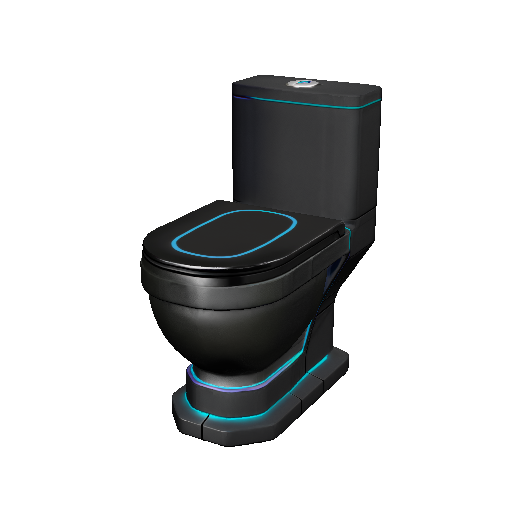 Electronic Toilet