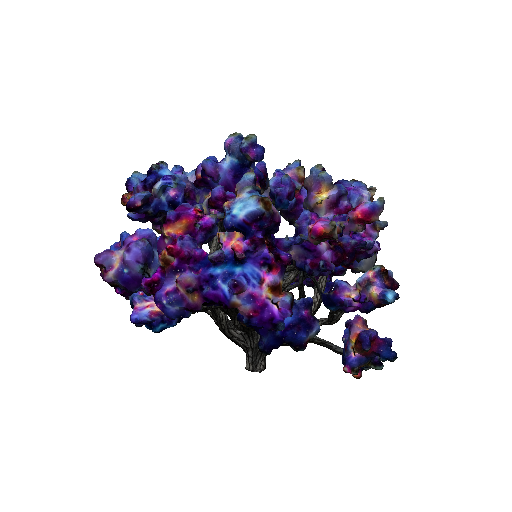 Nebula Cloud Bush