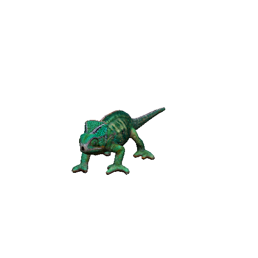 Chameleon