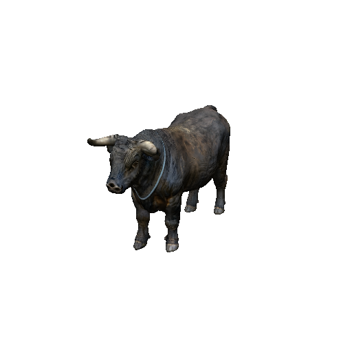 Bull
