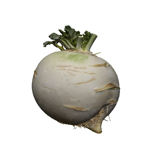 Turnip white