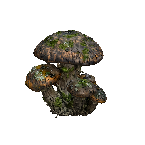 Giant Mushroom Cluster
