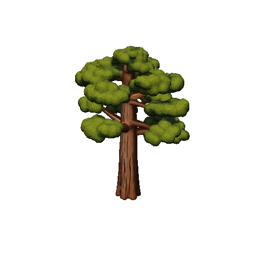 Redwood Tree