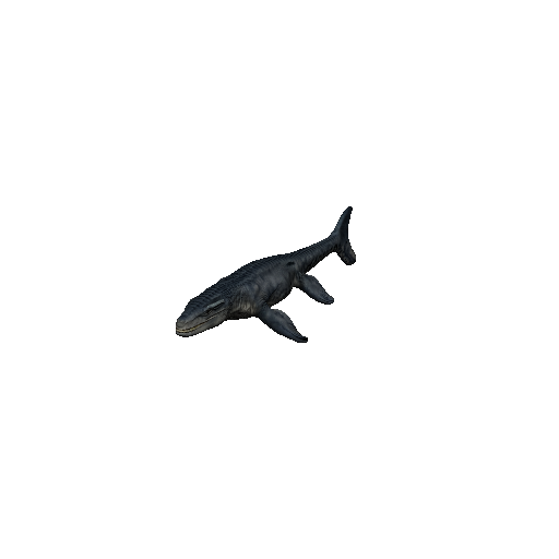 Mosasaur