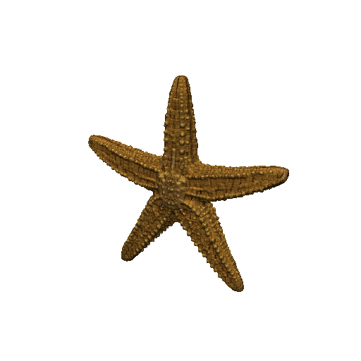 Starfish