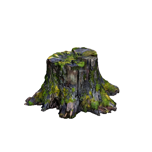 Mossy Tree Stump
