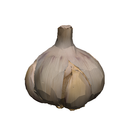 Garlic Bulb
