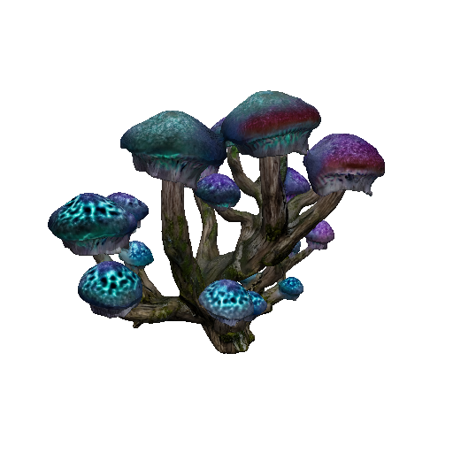 Veil Mushroom