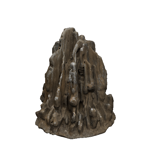Large Termite Mound