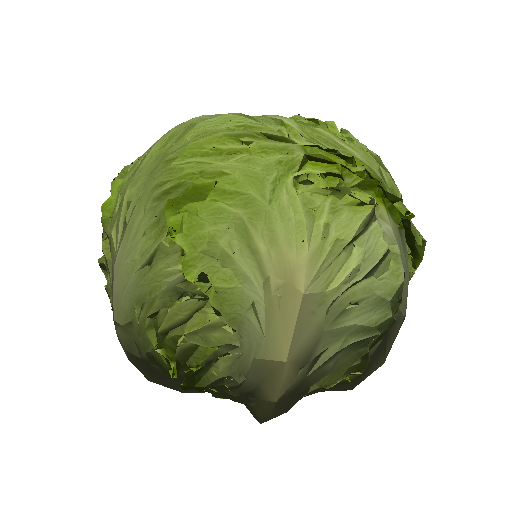 Lettuce Iceberg