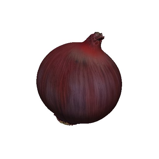 Purple Onion