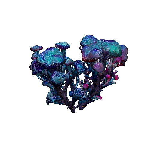 Deep Sea Jelly Fungus
