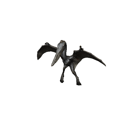Pterodactyl