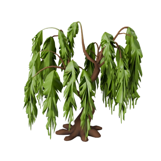 Willow Tree