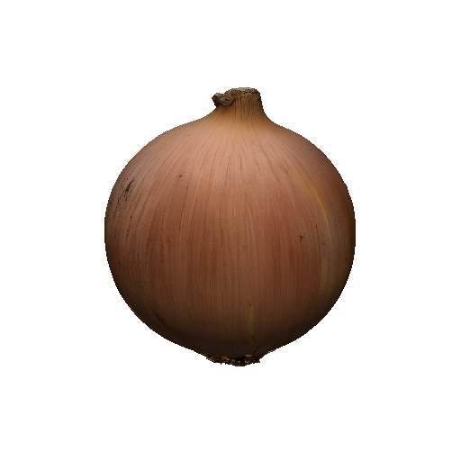 Onion