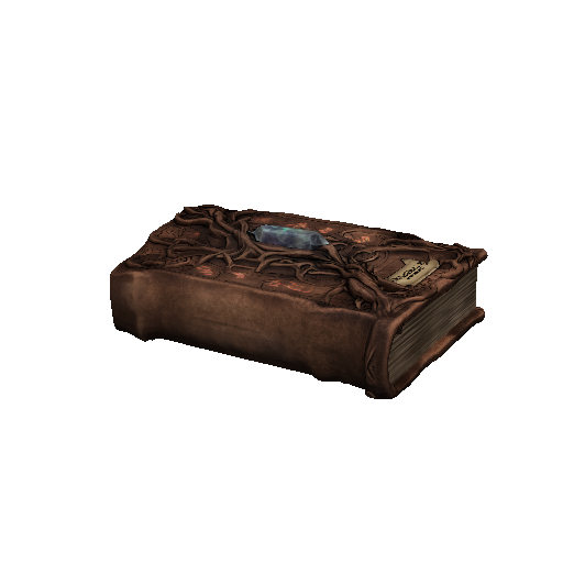 Magic enchanted codex