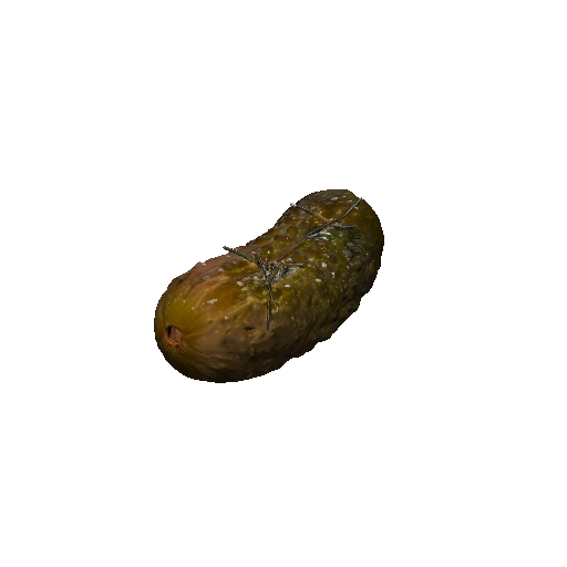 Dill Pickle