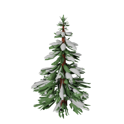 Snow Pine