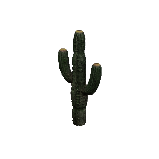 GameAssets Tool Saguaro