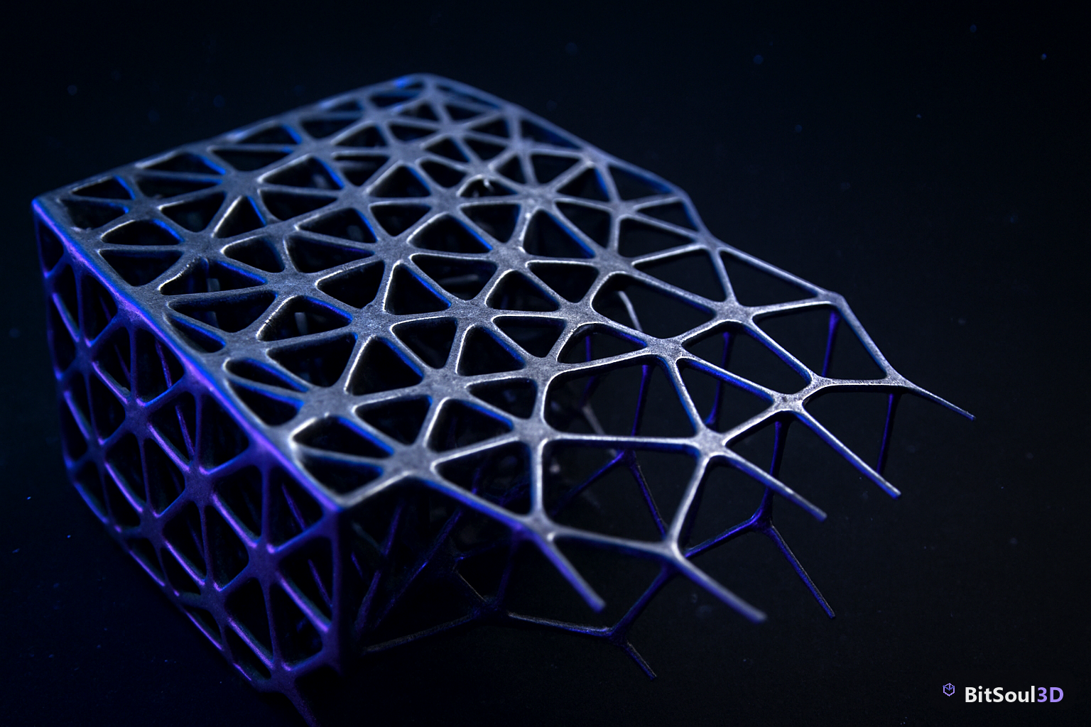 What the no-retopology claim actually covers — illustrated