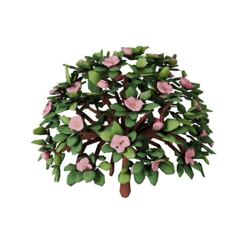 Bush Flowering