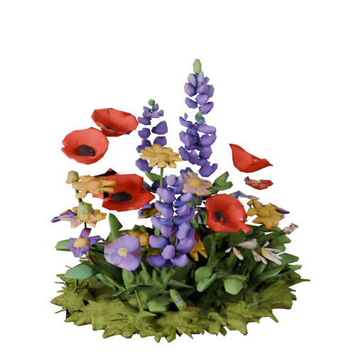 Wildflower Patch