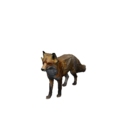 Fox