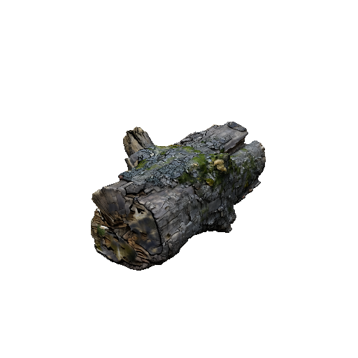Dead Fallen Log