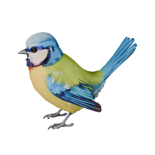 Bird Pet