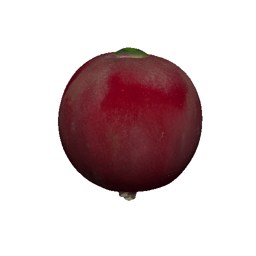 Red radish